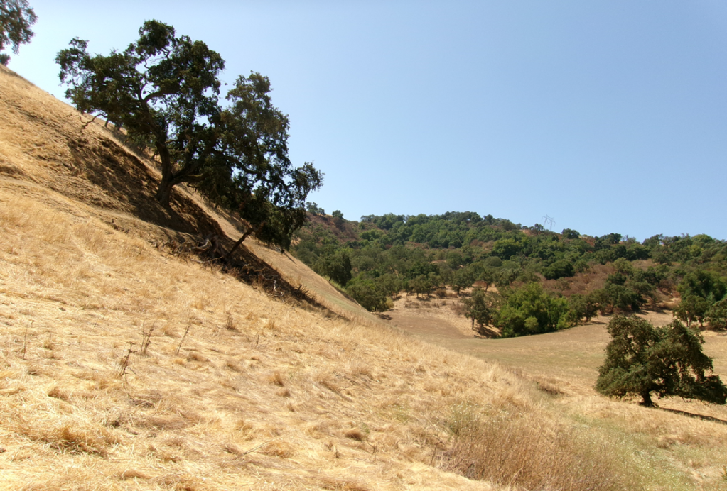 Another Week Of Rides and Workouts – BionicOldGuy