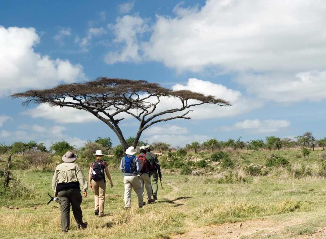 How to travel sustainably in South Africa
