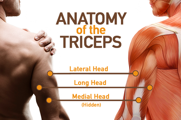 Archer Push-Up: Instructions, Modifications, and Benefits