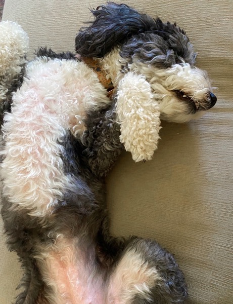 My Healthy Sleep Stack: What I Use for Deep, Restorative